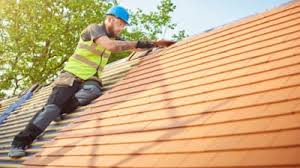 Best Sheet Metal Roofing  in Weldon, NC