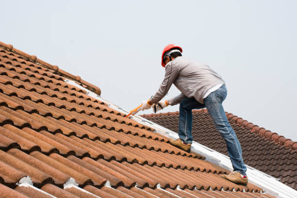 Best Gutter Installation and Repair  in Weldon, NC