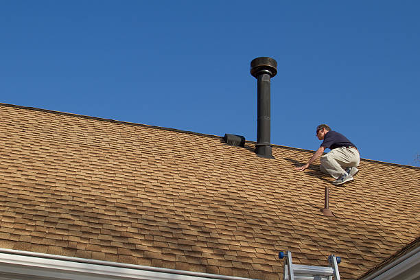 Best Roof Moss and Algae Removal  in Weldon, NC